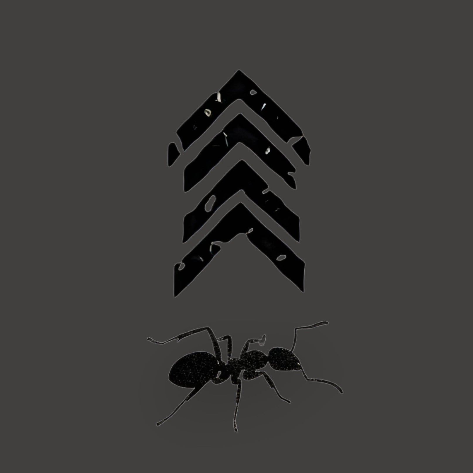 Limitált Drop 1/1 (Férfi póló Sötét Szürke)